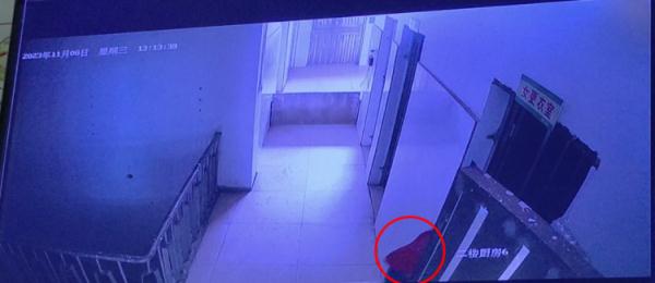 将手机“藏”进垃圾桶，刘某被行政拘留