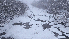 下雪啦！下雪啦！昆明这里下雪啦！