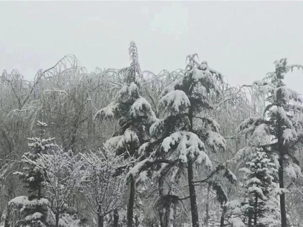 哇！昆明下雪啦！入冬首场雪！