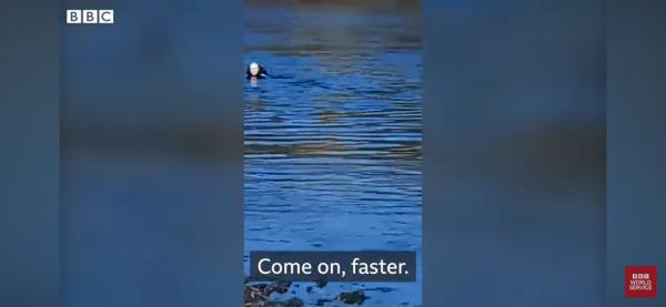 游泳逃跑、编造患病……外媒曝有近两万名男子成功逃离乌克兰，躲避征兵