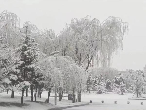 哇！昆明下雪啦！入冬首场雪！