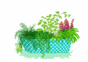 “供暖模式”正式开启，小心“暖气病”趁虚而入