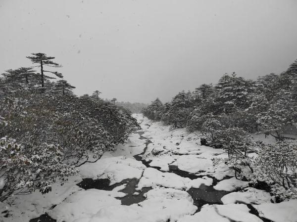 下雪啦！下雪啦！昆明这里下雪啦！