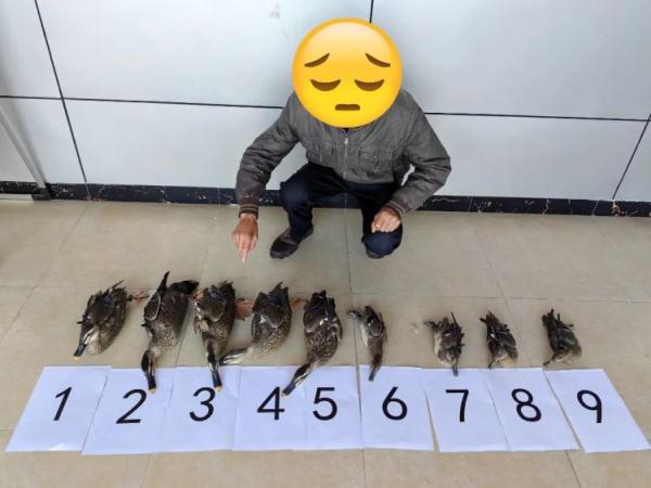 鸳鸯“约会”被抓了，警方出手相救