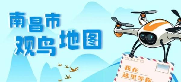 这个冬天,来南昌看鸟吧! 这个冬天,来南昌看鸟吧!