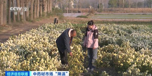 “狂飙”暂停!中药材价格降了,原因几何? “狂飙”暂停!中药材价格降了,原因几何?