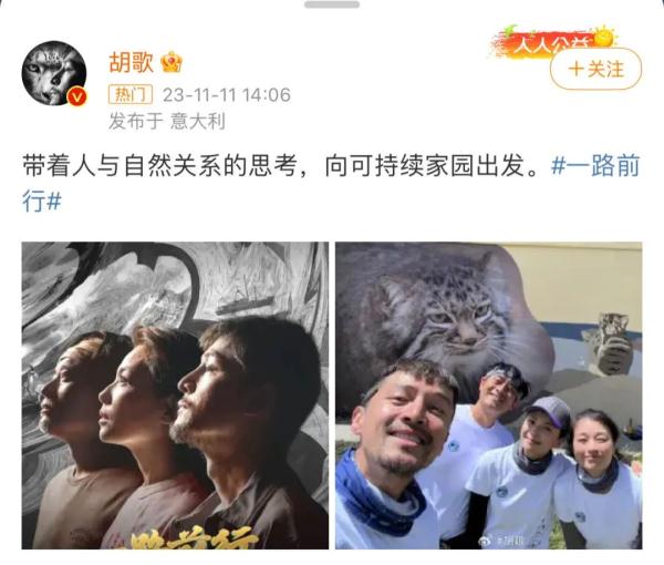 刘涛、胡歌，冲上热搜！