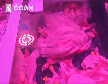 下个月起 这种给生鲜食品美颜的灯将全面禁用！