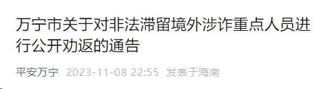 照片公布！最高悬赏30万！这群人12月15日前必须回国！