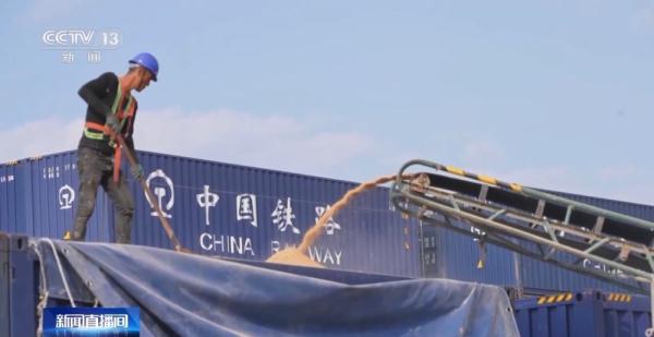 全国铁路发送粮食同比增长7.2% 北粮南运进入高峰期
