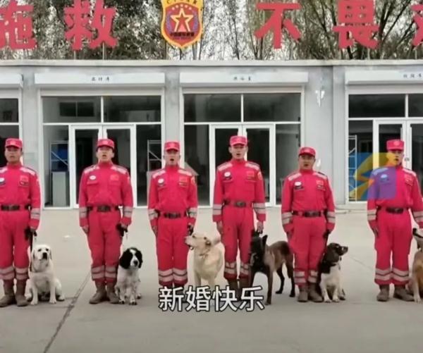 祝你，新婚快乐~