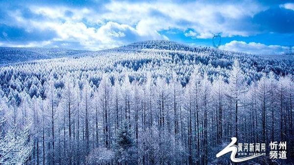 五寨管涔山之巅现雾凇奇观 五寨管涔山之巅现雾凇奇观