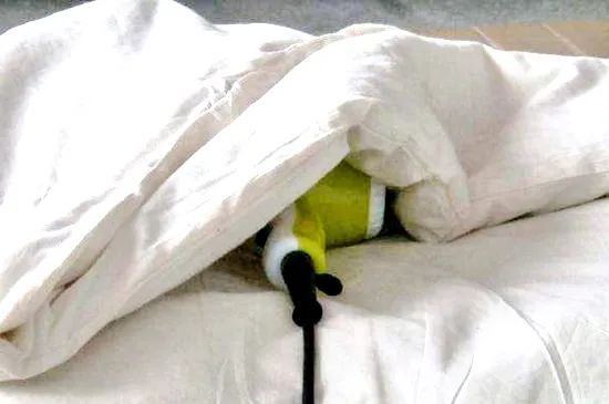 湖南一女子用吹风机“吹”出一场火灾 湖南一女子用吹风机“吹”出一场火灾