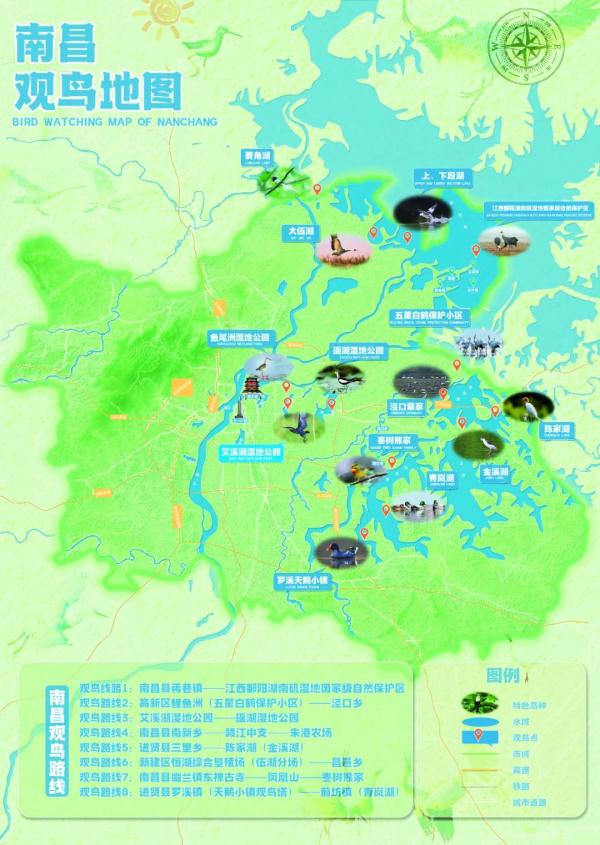 这个冬天,来南昌看鸟吧! 这个冬天,来南昌看鸟吧!