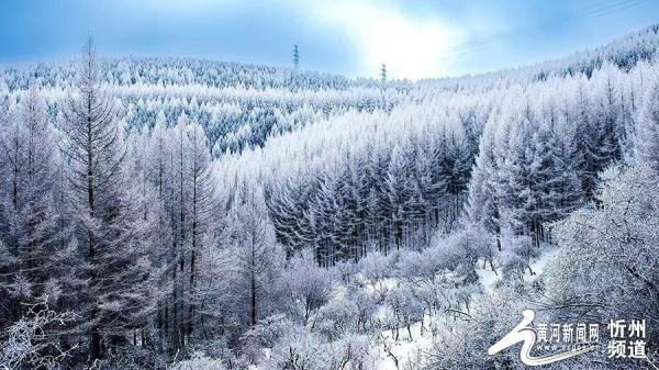 五寨管涔山之巅现雾凇奇观 五寨管涔山之巅现雾凇奇观