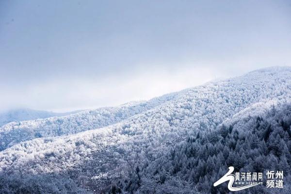 五寨管涔山之巅现雾凇奇观 五寨管涔山之巅现雾凇奇观