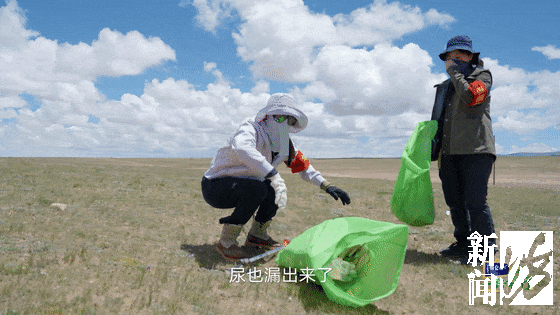 刘涛、胡歌，冲上热搜！