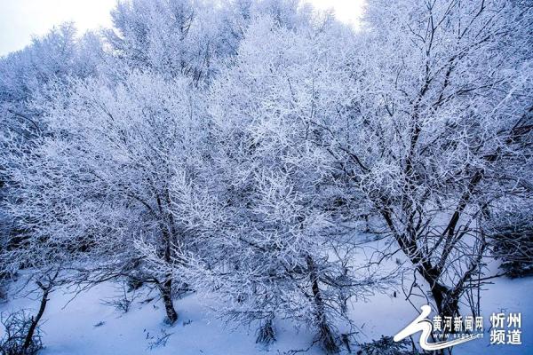 五寨管涔山之巅现雾凇奇观 五寨管涔山之巅现雾凇奇观