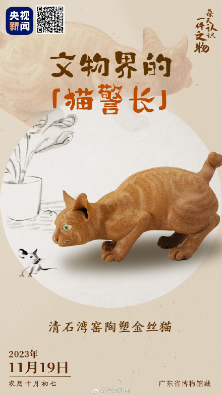 文物界的猫警长 老鼠见了都害怕 文物界的猫警长 老鼠见了都害怕