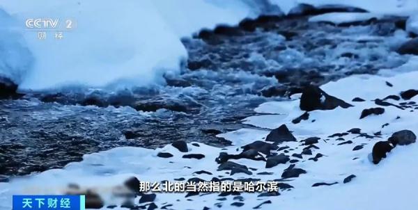 价格“大跳水”！有国际航班只要9元？！啥情况？