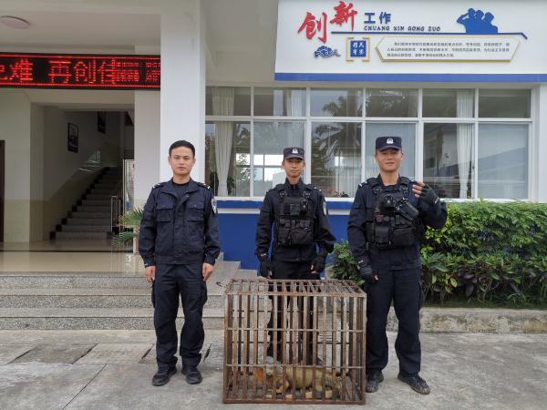 1.2米长蜥蜴闯入村民家中 移民管理警察：锁喉拿捏