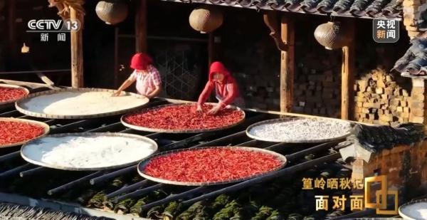 深山古村走上国际“C位” 带你一起发掘这座村子的独特之美 深山古村走上国际“C位” 带你一起发掘这座村子的独特之美