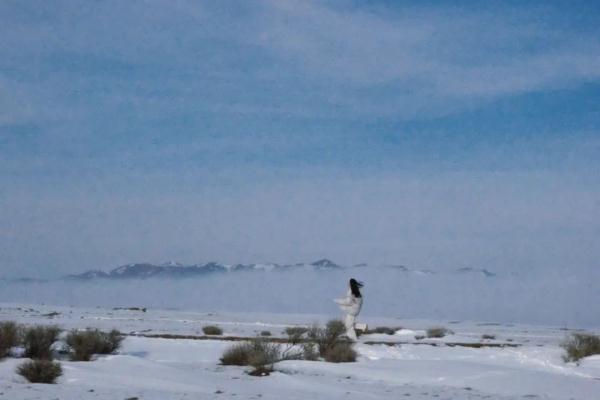 演员李沁晒新疆雪景,网友:好想去新疆! 演员李沁晒新疆雪景,网友:好想去新疆!