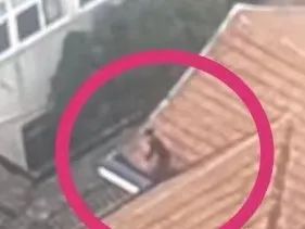 男子偷功德箱的钱，声称：菩萨给我比了“OK”！网友评论笑喷.......
