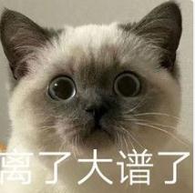 1元网购“爱因斯坦的脑子”？网友热议......