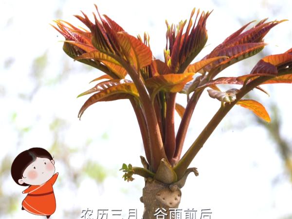 文博观察丨《广阳王府的小厨娘》90后制作团队:烹饪汉代美食的诗与远方 文博观察丨《广阳王府的小厨娘》90后制作团队:烹饪汉代美食的诗与远方