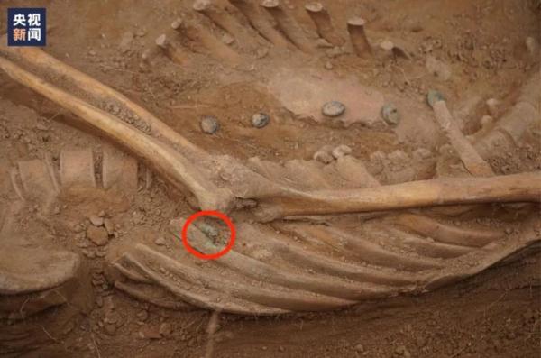 烈士牺牲34年后,她终于等来丈夫的清晰遗照 烈士牺牲34年后,她终于等来丈夫的清晰遗照