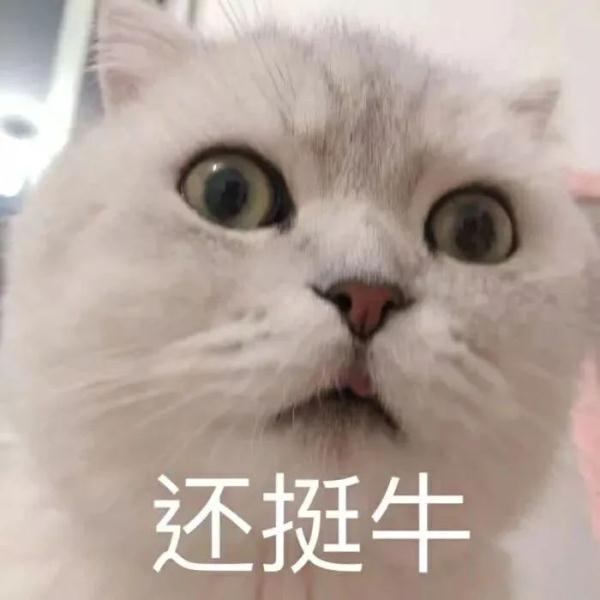 肉店员工用嘴剔骨,店主称是几十年“老手艺”?市场监管回应来了! 肉店员工用嘴剔骨,店主称是几十年“老手艺”?市场监管回应来了!