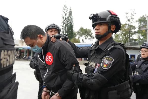 重大战果！3.1万名电诈嫌疑人移交中方，包括幕后“金主”