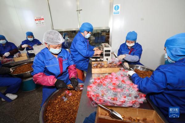 浙江诸暨:炒货飘香上市忙 特色产业助共富 浙江诸暨:炒货飘香上市忙 特色产业助共富