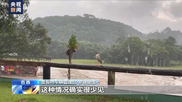 巴西圣保罗极端天气交替 气温频繁变化 巴西圣保罗极端天气交替 气温频繁变化