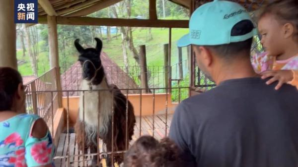 巴西圣保罗极端天气交替 气温频繁变化 巴西圣保罗极端天气交替 气温频繁变化