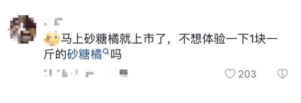 奖牌和特产我都要！孩子比赛结束，家长扛着芭蕉树就上了车……