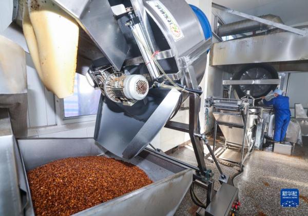 浙江诸暨:炒货飘香上市忙 特色产业助共富 浙江诸暨:炒货飘香上市忙 特色产业助共富