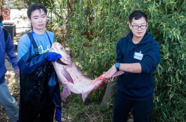 别人家的大学:捕1万斤鱼,做4万份菜,免费造! 别人家的大学:捕1万斤鱼,做4万份菜,免费造!