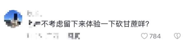 奖牌和特产我都要！孩子比赛结束，家长扛着芭蕉树就上了车……