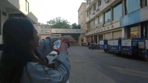 桂花表一夜翻红?有网友称从没听说 桂花表一夜翻红?有网友称从没听说