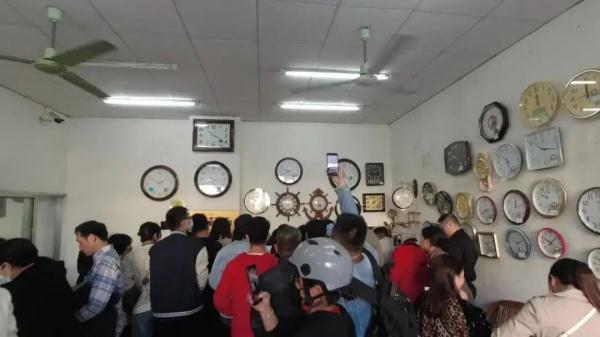 桂花表一夜翻红?有网友称从没听说 桂花表一夜翻红?有网友称从没听说