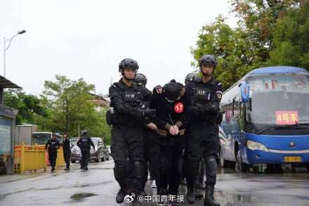 公安部：累计3.1万名缅北电信网络诈骗犯罪嫌疑人移交我方