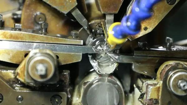 桂花表一夜翻红?有网友称从没听说 桂花表一夜翻红?有网友称从没听说