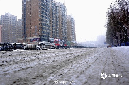 哈尔滨迎今冬第四场强降雪 雪花纷飞天地银白