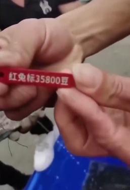 东莞一钓场“赌钓”案公开宣判,涉案赌资高达500多万元 东莞一钓场“赌钓”案公开宣判,涉案赌资高达500多万元