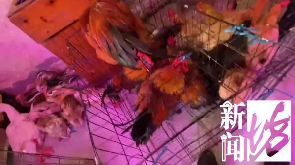 上海这条街整日热火朝天！都是违法的？有居民忍不了被迫搬离…