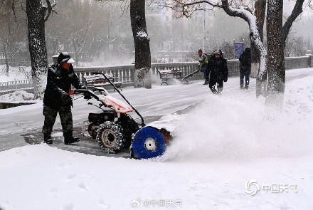 哈尔滨迎今冬第四场强降雪 雪花纷飞天地银白