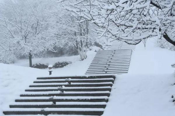 “小雪”迎大雪,局部地区大暴雪!气温断崖式下跌!冰城交警发布出行提示 “小雪”迎大雪,局部地区大暴雪!气温断崖式下跌!冰城交警发布出行提示