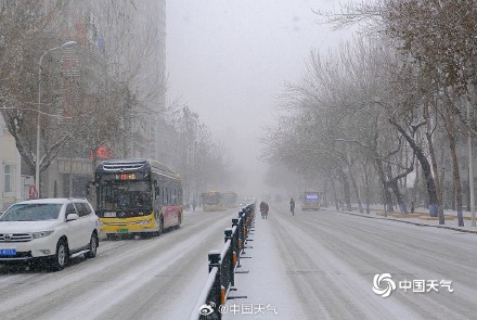哈尔滨迎今冬第四场强降雪 雪花纷飞天地银白